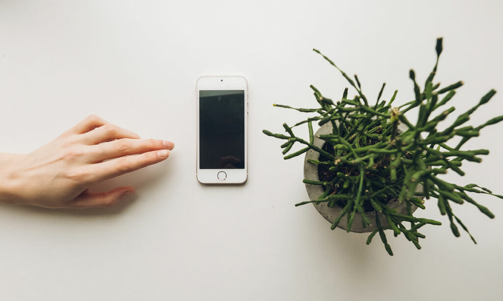 5 ways to increase your organic reach on Social Media